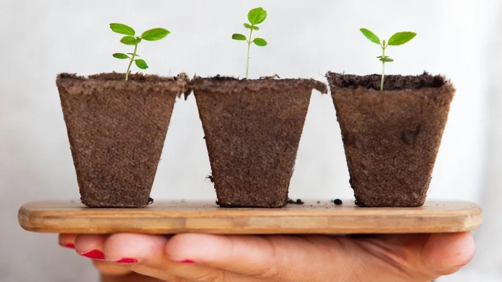 Επενδύσεις για Αρχάριους